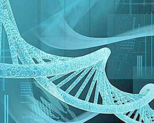 移植后发干呕：囊胚移植第二天有点恶心正不正常,同性试管助孕