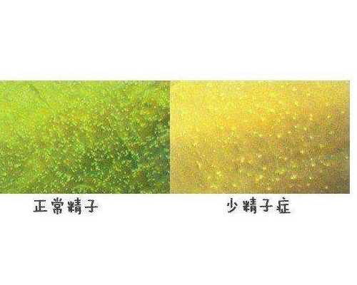 代怀孩子与试管婴儿费用详解及助孕机构选择指南