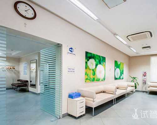 广西代孕医院指南与试管成功率解析