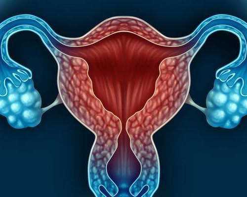 专业供卵试管机构孕囊数据看男女准确性解析