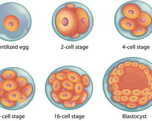 广西哪里代怀便宜 广西壮族自治区人民医院试管费用： ‘彩超宝宝照片看男女