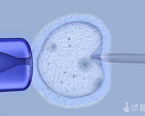 吸奶器只吸不吐常见问题解析