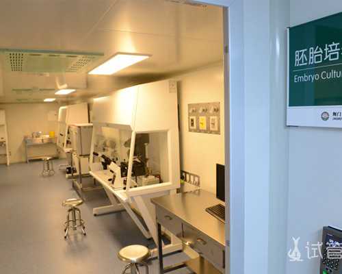 探索卵子库与试管婴儿费用及成功率解析