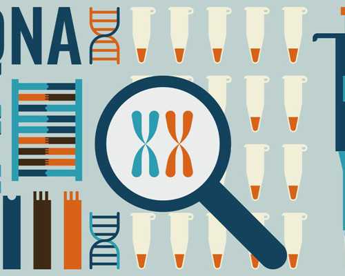 广西包代生孩子 广西壮族自治区人民医院试管费用： ‘三个月股骨长看男女’