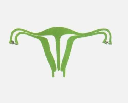 合法供卵与试管婴儿成功率及费用详解