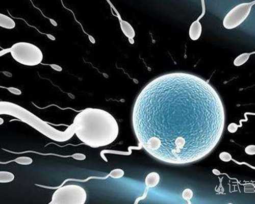 广西供卵服务与试管婴儿费用全解析