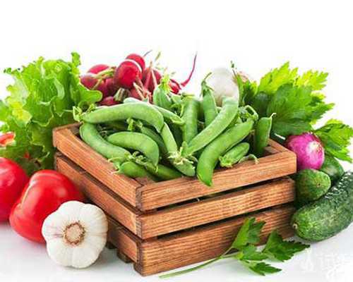 正规供卵费用解析及试管技术选择指南