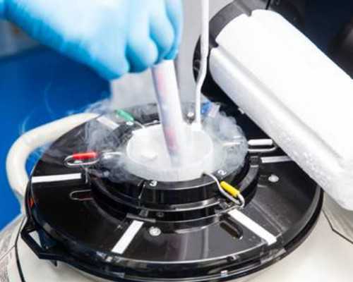 专业代孕机构选择指南与试管成功率解析