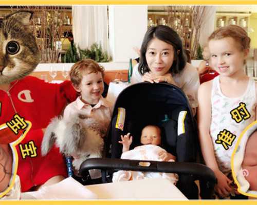 试管婴儿费用明细与助孕步骤详解